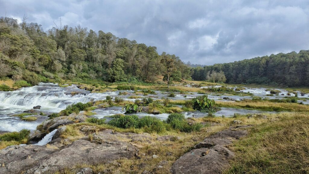 Captivating view of picturesque waterfalls amidst lush vegetation in Ooty, India.